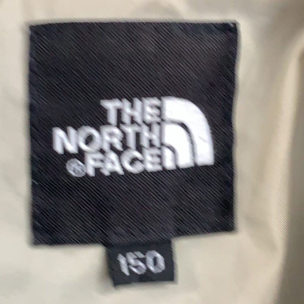 23562