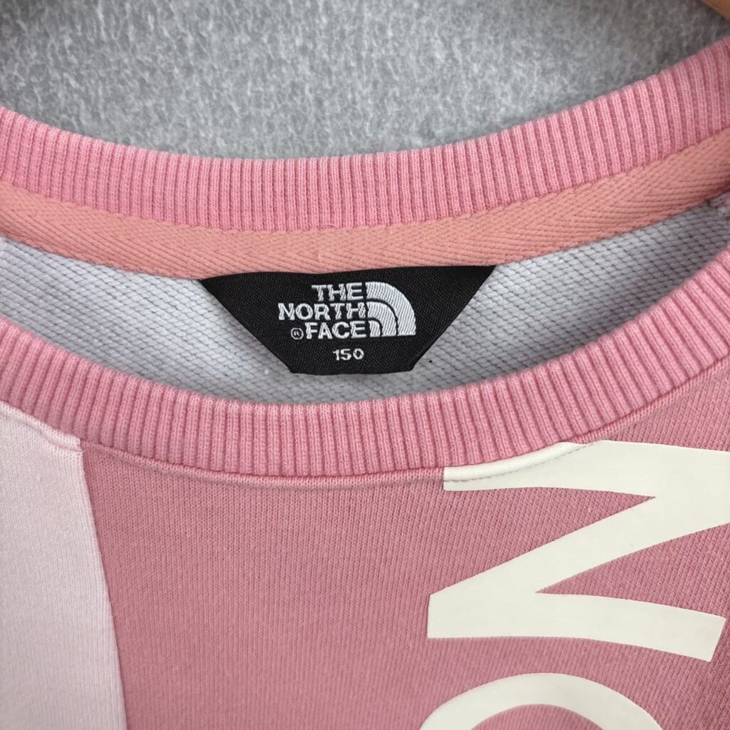 23559